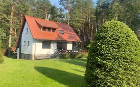 Domek Leśny Reset